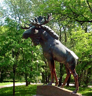 Скульптура Лось в городе Выборг