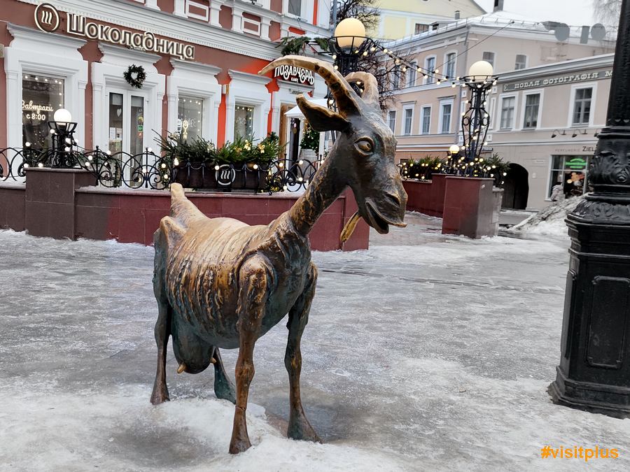 Коза в Нижнем Новгороде